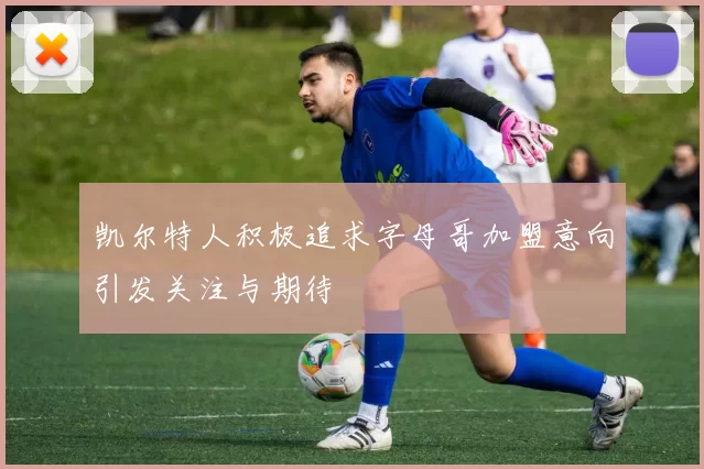 凯尔特人积极追求字母哥加盟意向引发关注与期待